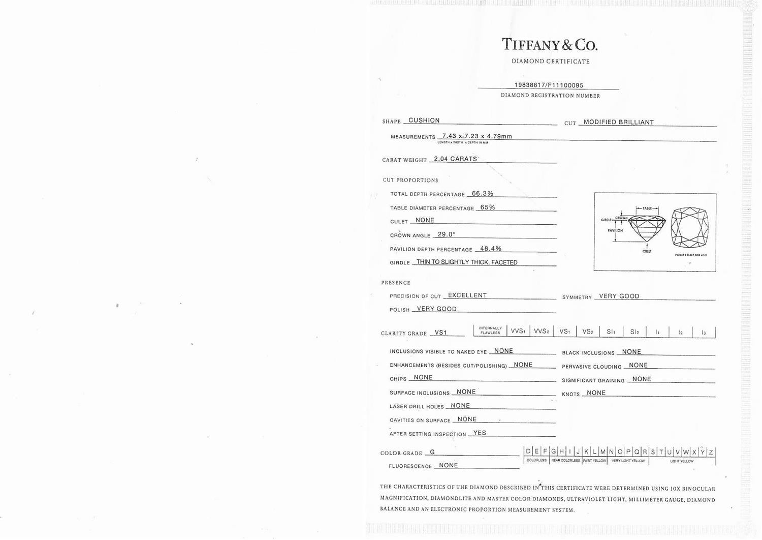 Tiffany & Co 3.54 Carat Cushion Brilliant and Round Diamond Platinum Halo Ring