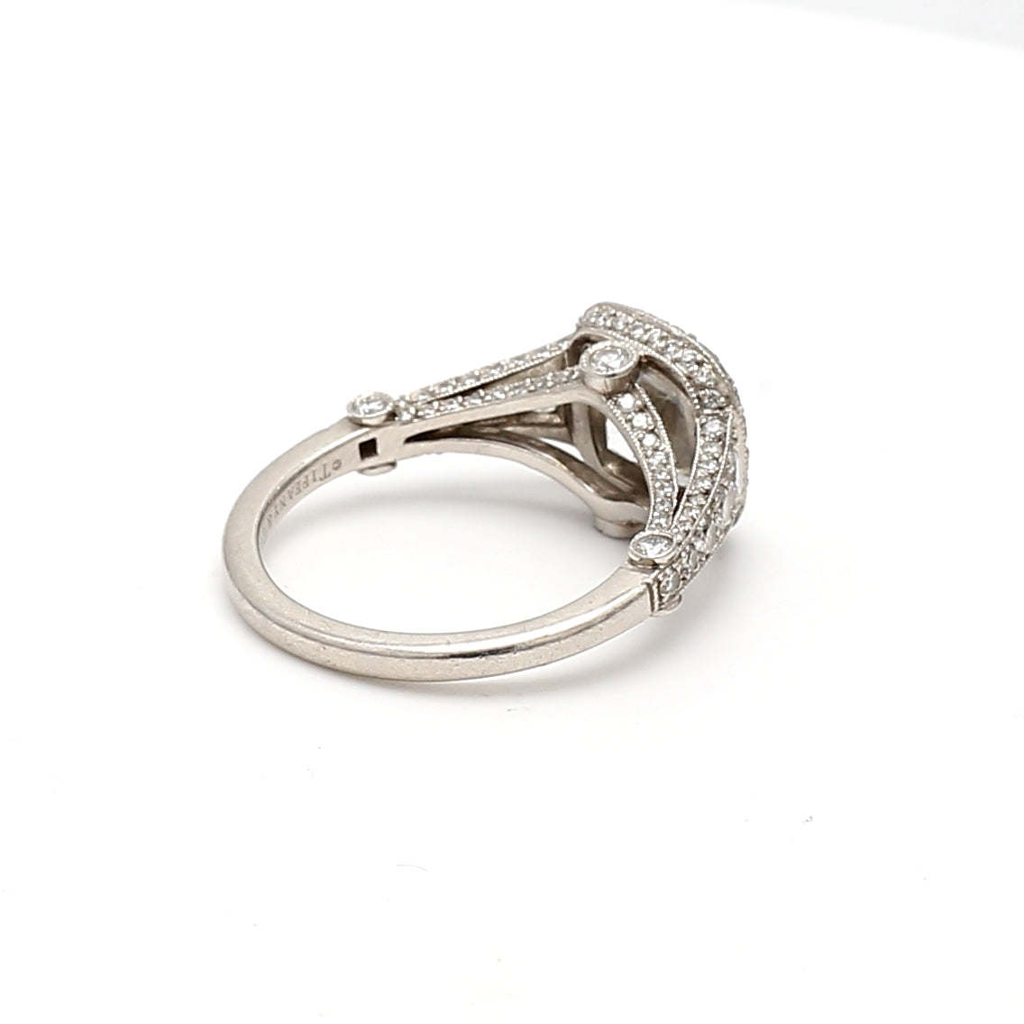 Tiffany & Co 3.54 Carat Cushion Brilliant and Round Diamond Platinum Halo Ring