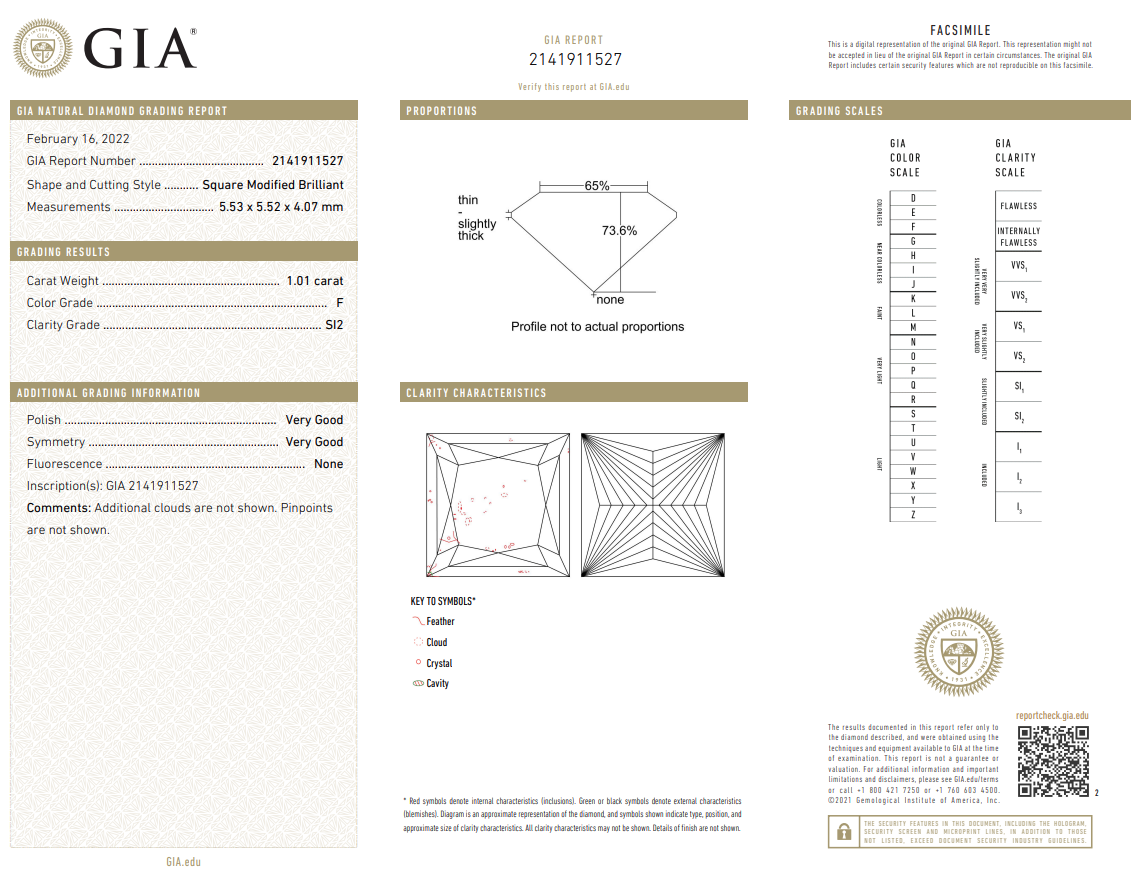 GIA Certified 1.01 Carat Princess Cut Diamond Loose F-SI2 Natural