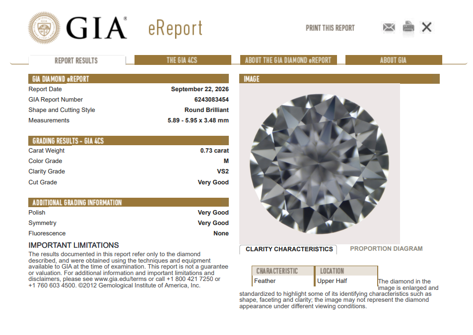 Natural 0.73 Carat Round Brilliant Diamond M-VS2 with GIA Certificate