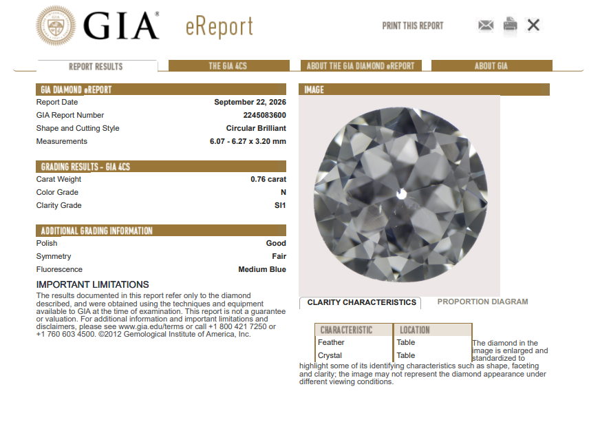 0.76 Ct Old European Cut Diamond N-SI1 Natural Vintage GIA Collector Gem