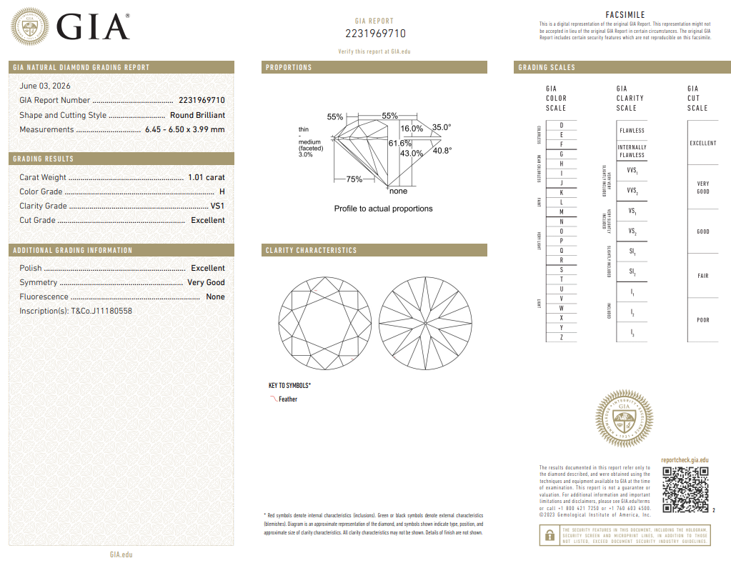 Natural 1.01 Ct Round Brilliant Diamond H-VS1 with GIA Certificate