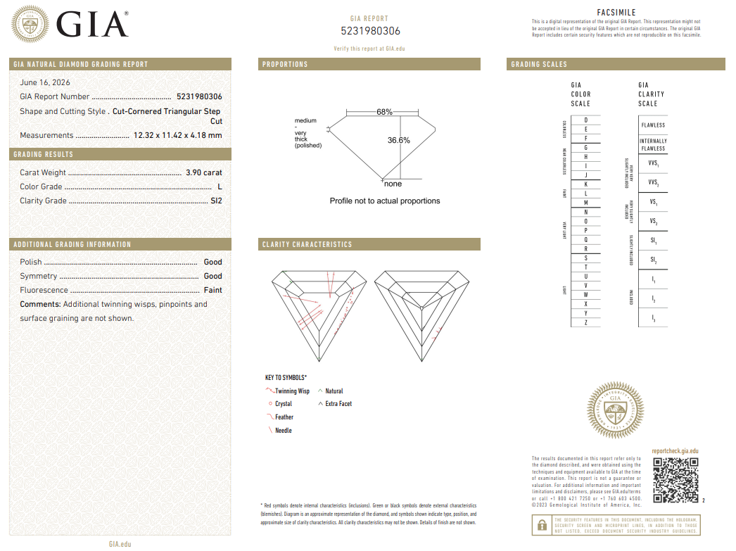 3.9 Carat Triangular Shape Diamond Loose Natural L-SI2 GIA